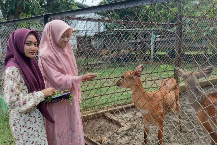 Koleksi Satwa